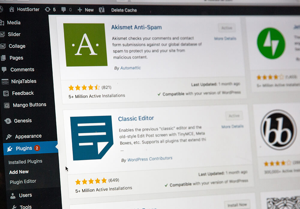 Sviluppo con WordPress plugin